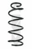 SPIDAN 55192 Coil Spring